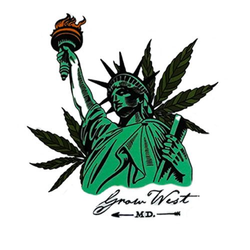 4th of July Statue of Liberty